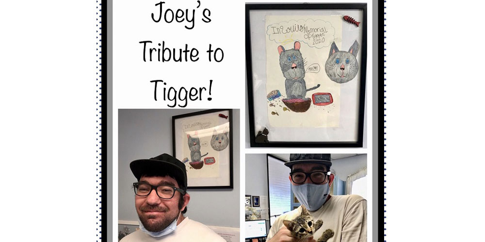 Here's Joey at his work showing the tribute he made for Tigger, a very loved cat who recently passed away